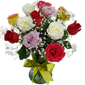 AP-01 CO: 12 Rosas coloridas no vaso Luna