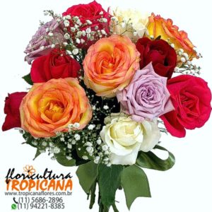 BQ-16 CO: Ramalhete de 12 rosas coloridas