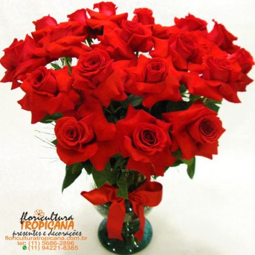 AP-40: 18 Rosas colombianas no vaso Natália