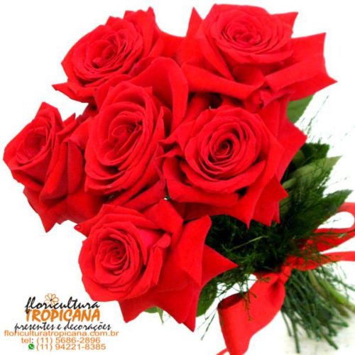 BQ-08: Ramalhete de 6 rosas colombianas