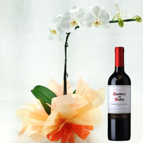 FB-01: Orquídea phalaenopsis com vinho importado