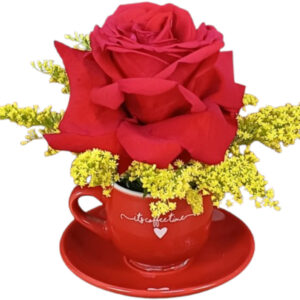 AP-06: Arranjo com rosa colombiana vermelhas na xícara