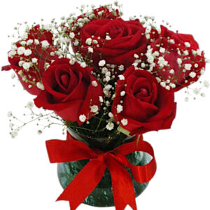 AP-09 VE: 6 Rosas vermelhas no vaso de vidro